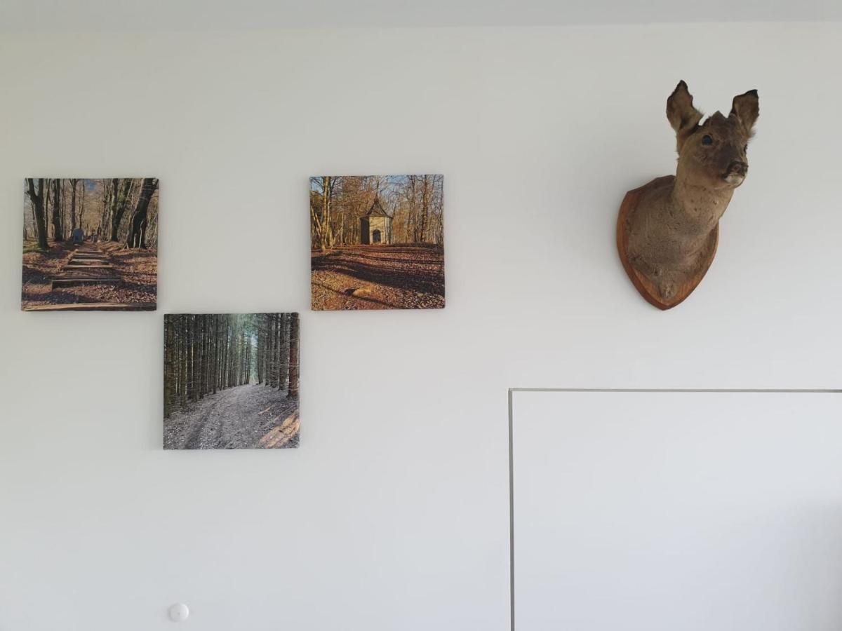 Terrasses De Malmedy - Duplex "Happiness" - Pellet & Airco- Apartment Luaran gambar
