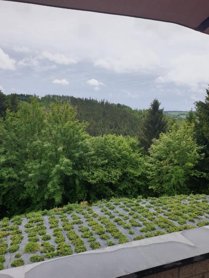 Terrasses De Malmedy - Duplex "Happiness" - Pellet & Airco- Apartment Luaran gambar