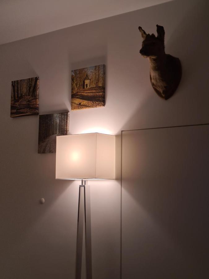 Terrasses De Malmedy - Duplex "Happiness" - Pellet & Airco- Apartment Luaran gambar